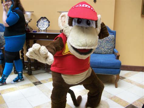 diddy kong costume